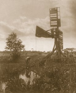 Un molino de agua en ruinas, Vida y Paisaje en los Broads de Norfolk, c. 1886 de Peter Emerson und Thomas Goodall